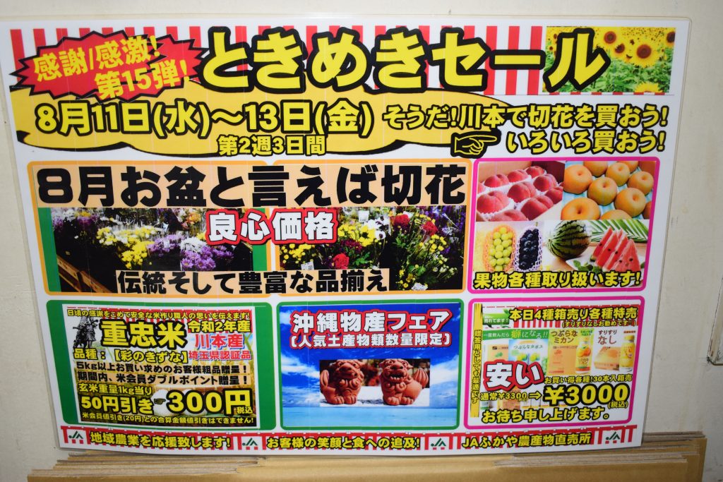 8月 お盆SALE！ 最大3000円OFF！ 8月 お盆SALE！ 最大3000円OFF！